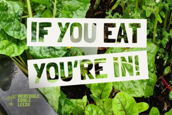 Incredible edible Leeds you eat you're in background of green veg