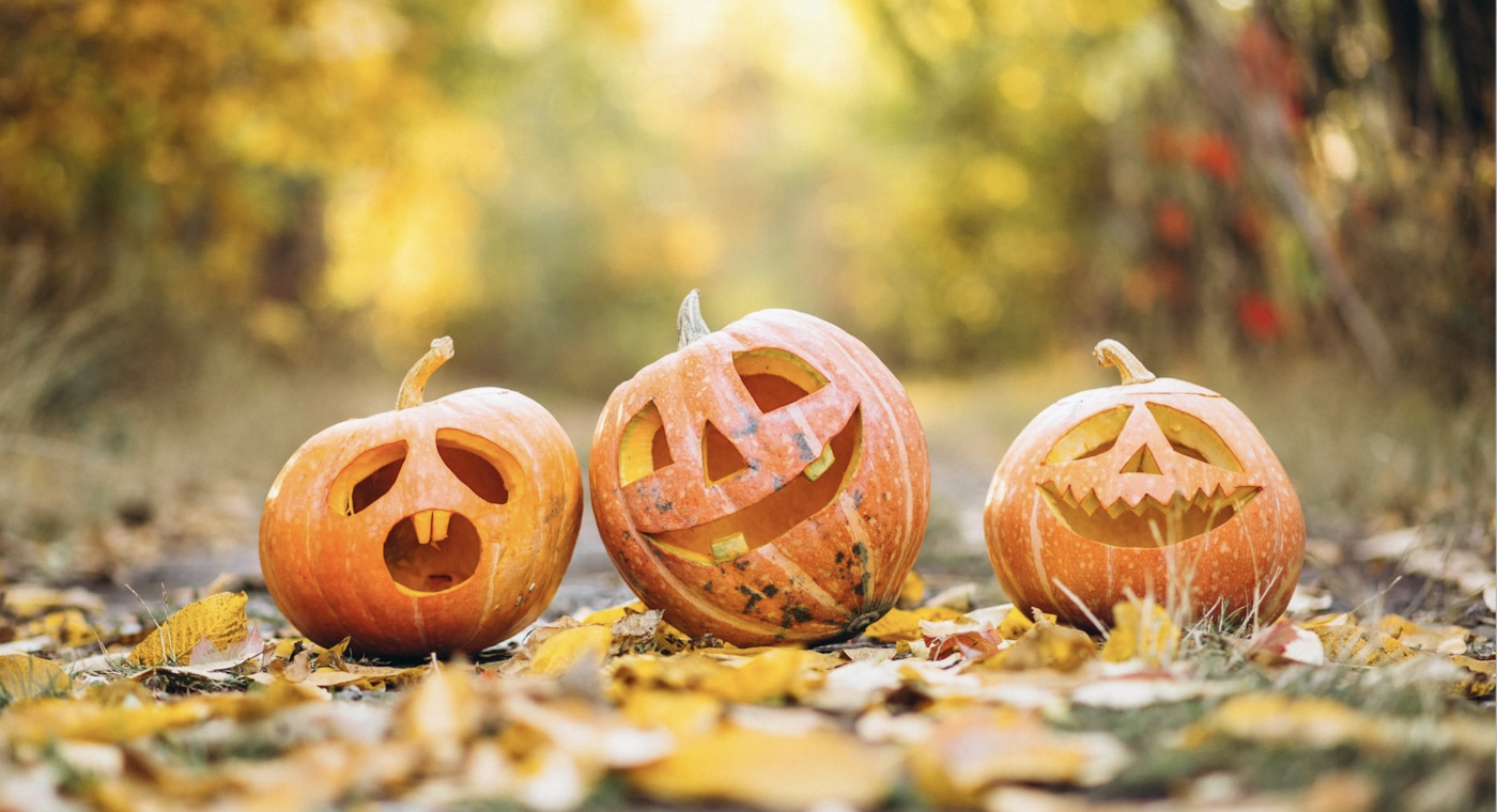 three pumpkins carved on a leafy grass outside area