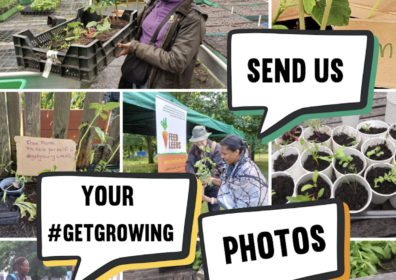 Screenshot 2024-10-15 at 17.52.13 send us your photos background of growers plants and seedlings