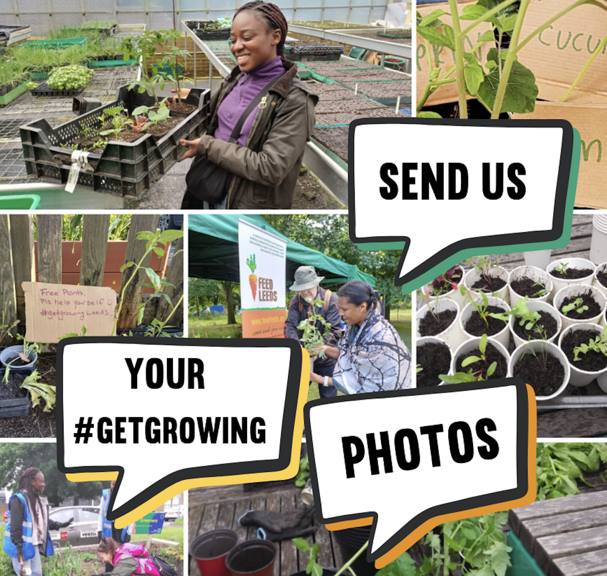 Feed Leeds’ Get Growing Leeds