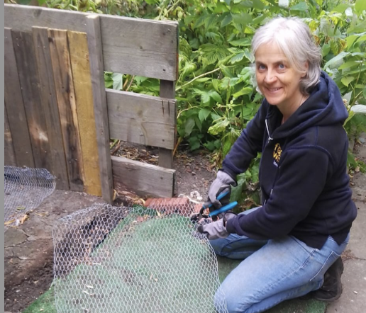 Composting Collective Latest News