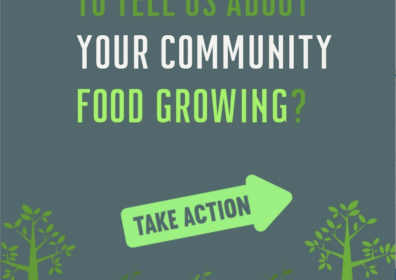 trees and text on a grey background