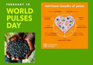 World Pulses day images of pulses and benefits of pulses