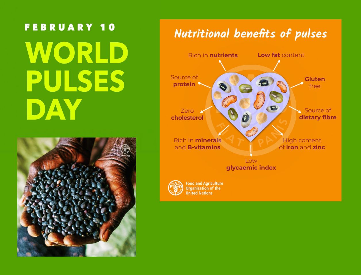 World Pulses Day