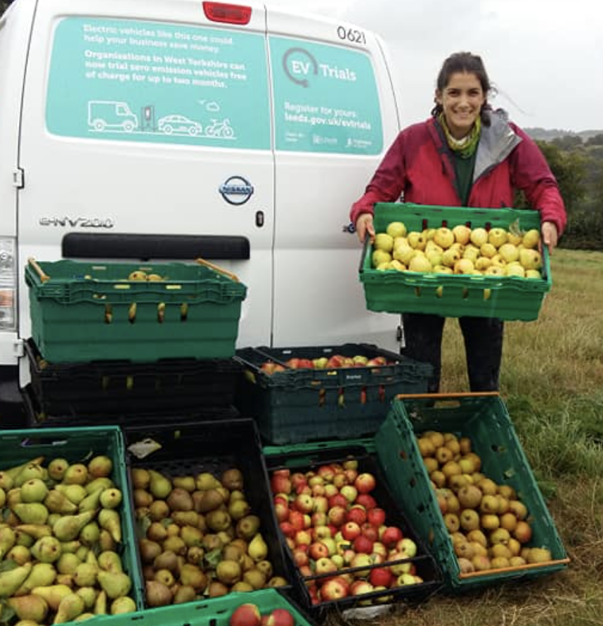 four crates of apples plus a woman stood holding another crate of apples i a field by a van