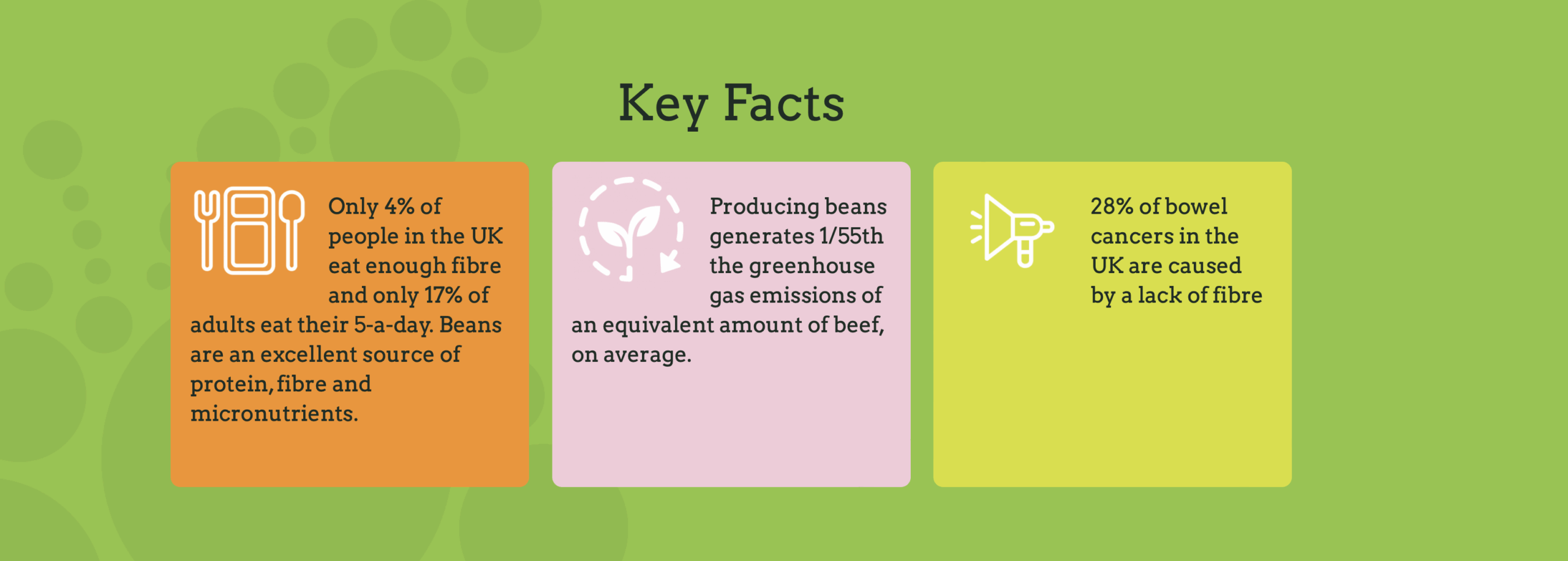 key facts in colourful boxes