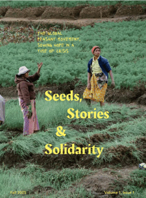 seeds stories and solidarity - image of a field and people working in field