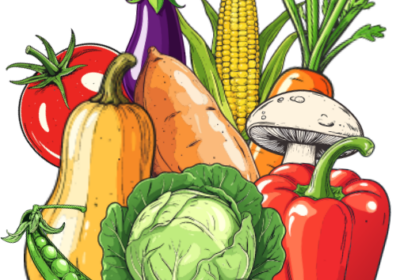 A collection of Vegetables, including a Tomato, Aubergine, Sweetcorn, Butternut squash, Pea pod, Cabbage, Red bell Pepper, Sweet potato, a Mushroom and a Carrot