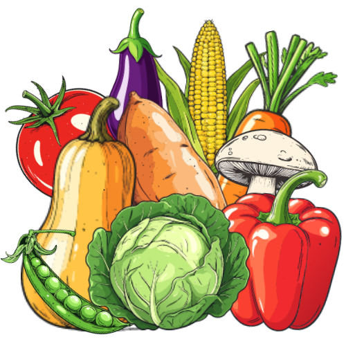 A collection of Vegetables, including a Tomato, Aubergine, Sweetcorn, Butternut squash, Pea pod, Cabbage, Red bell Pepper, Sweet potato, a Mushroom and a Carrot