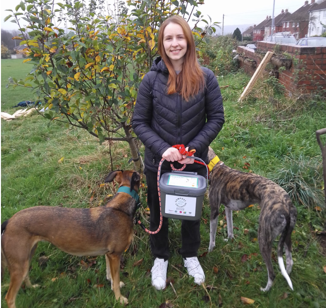 woman with two dogs and caddie woman with two dogs and a caddy in green grass